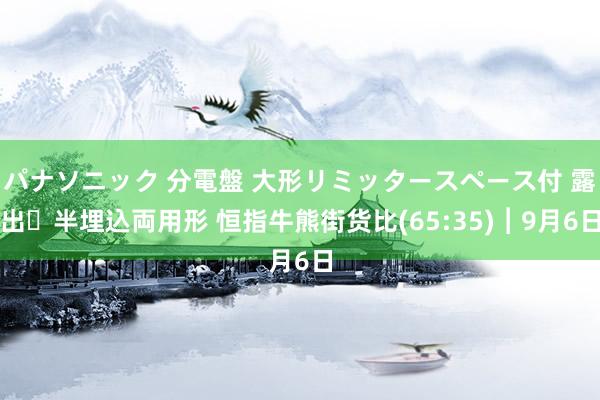 パナソニック 分電盤 大形リミッタースペース付 露出・半埋込両用形 恒指牛熊街货比(65:35)︱9月6日