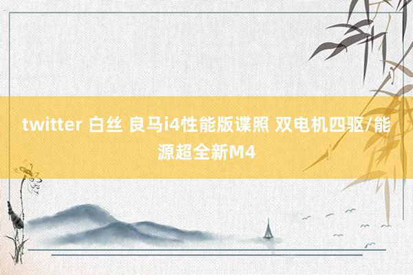 twitter 白丝 良马i4性能版谍照 双电机四驱/能源超全新M4