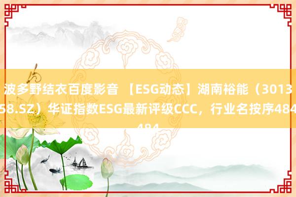 波多野结衣百度影音 【ESG动态】湖南裕能（301358.SZ）华证指数ESG最新评级CCC，行业名按序484