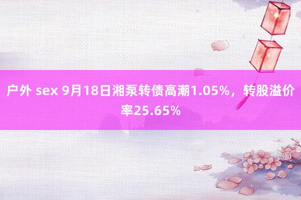 户外 sex 9月18日湘泵转债高潮1.05%，转股溢价率25.65%