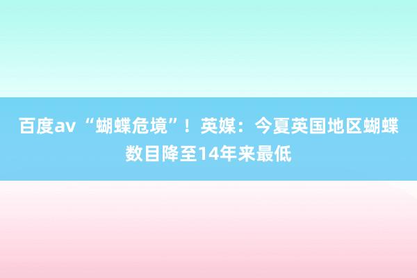 百度av “蝴蝶危境”！英媒：今夏英国地区蝴蝶数目降至14年来最低