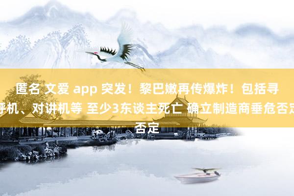 匿名 文爱 app 突发！黎巴嫩再传爆炸！包括寻呼机、对讲机等 至少3东谈主死亡 确立制造商垂危否定