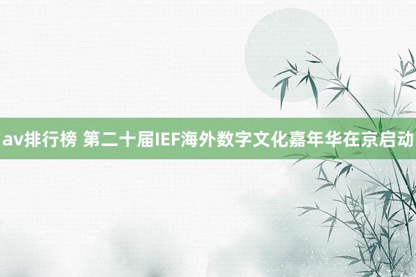 av排行榜 第二十届IEF海外数字文化嘉年华在京启动