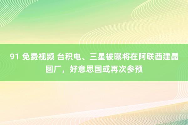 91 免费视频 台积电、三星被曝将在阿联酋建晶圆厂，好意思国或再次参预