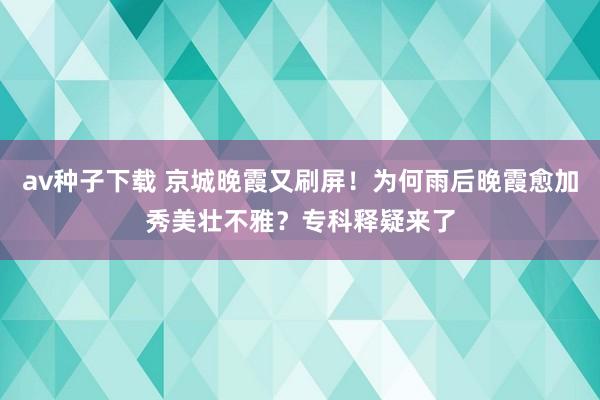 av种子下载 京城晚霞又刷屏！为何雨后晚霞愈加秀美壮不雅？专科释疑来了