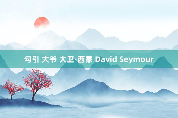 勾引 大爷 大卫·西蒙 David Seymour