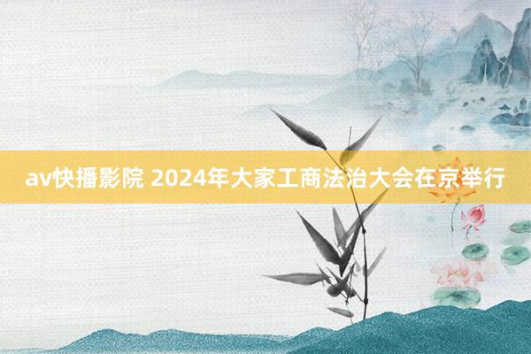 av快播影院 2024年大家工商法治大会在京举行