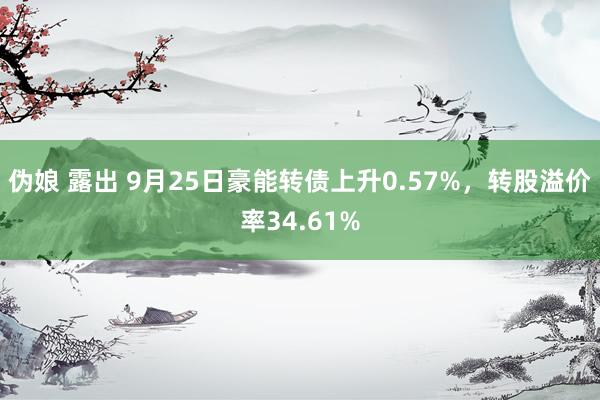 伪娘 露出 9月25日豪能转债上升0.57%，转股溢价率34.61%