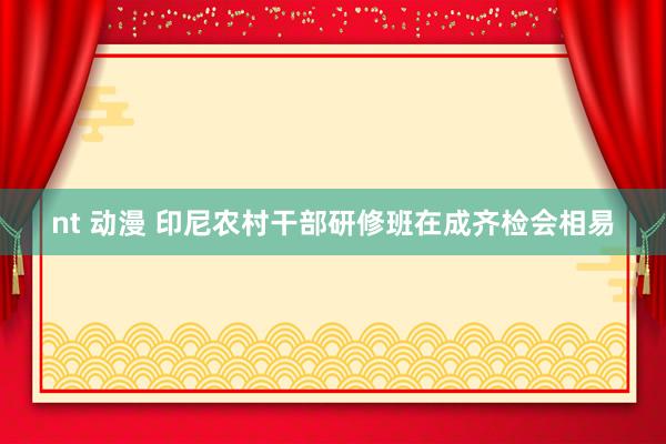 nt 动漫 印尼农村干部研修班在成齐检会相易