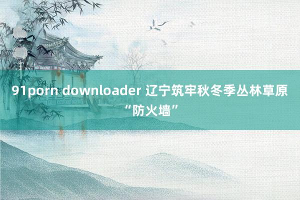 91porn downloader 辽宁筑牢秋冬季丛林草原“防火墙”