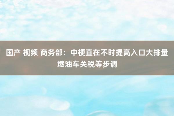 国产 视频 商务部：中梗直在不时提高入口大排量燃油车关税等步调