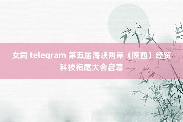 女同 telegram 第五届海峡两岸（陕西）经贸科技衔尾大会启幕