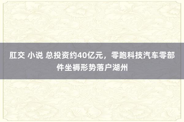 肛交 小说 总投资约40亿元，零跑科技汽车零部件坐褥形势落户湖州