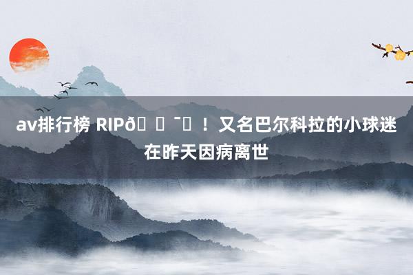 av排行榜 RIP🕯️！又名巴尔科拉的小球迷在昨天因病离世