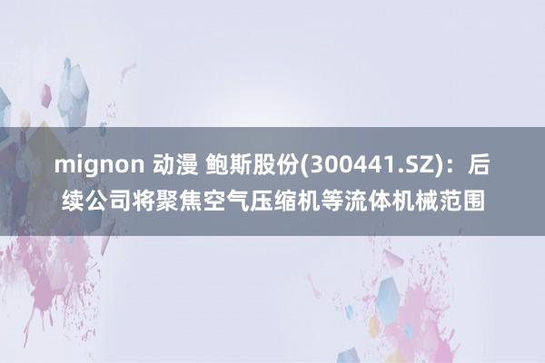 mignon 动漫 鲍斯股份(300441.SZ)：后续公司将聚焦空气压缩机等流体机械范围