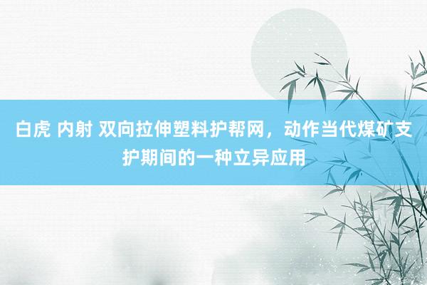 白虎 内射 双向拉伸塑料护帮网，动作当代煤矿支护期间的一种立异应用