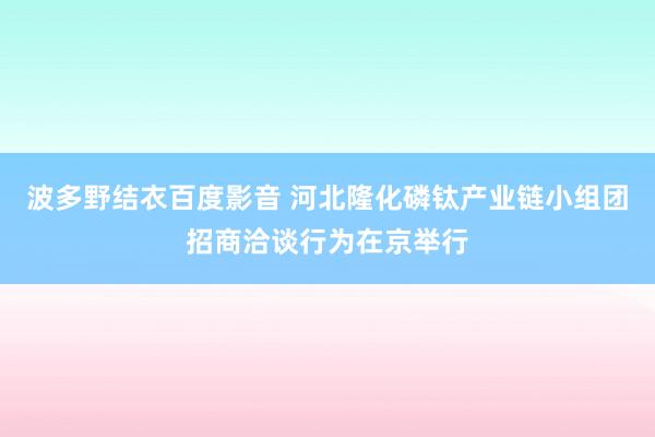 波多野结衣百度影音 河北隆化磷钛产业链小组团招商洽谈行为在京举行