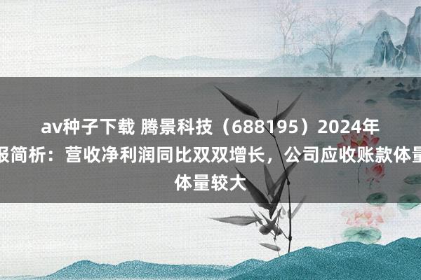 av种子下载 腾景科技（688195）2024年三季报简析：营收净利润同比双双增长，公司应收账款体量较大