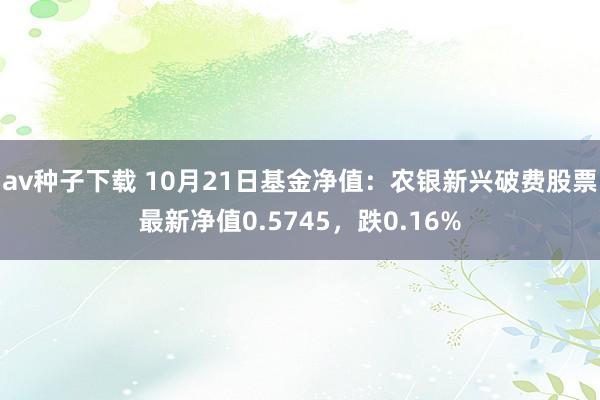 av种子下载 10月21日基金净值：农银新兴破费股票最新净值0.5745，跌0.16%