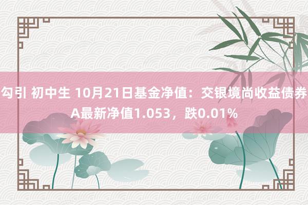 勾引 初中生 10月21日基金净值：交银境尚收益债券A最新净值1.053，跌0.01%