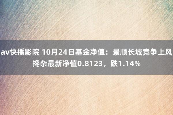 av快播影院 10月24日基金净值：景顺长城竞争上风搀杂最新净值0.8123，跌1.14%