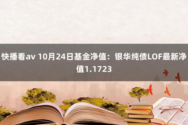 快播看av 10月24日基金净值：银华纯债LOF最新净值1.1723