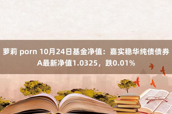 萝莉 porn 10月24日基金净值：嘉实稳华纯债债券A最新净值1.0325，跌0.01%