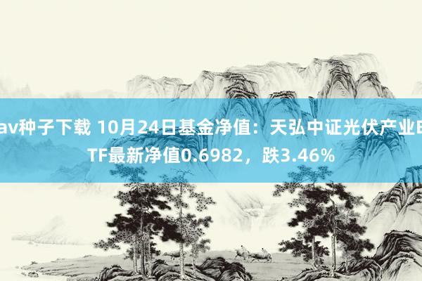 av种子下载 10月24日基金净值：天弘中证光伏产业ETF最新净值0.6982，跌3.46%