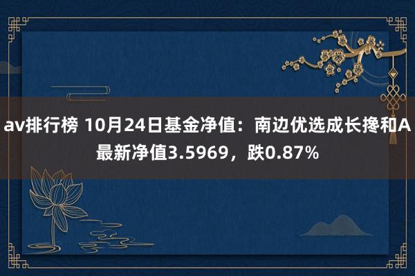 av排行榜 10月24日基金净值：南边优选成长搀和A最新净值3.5969，跌0.87%