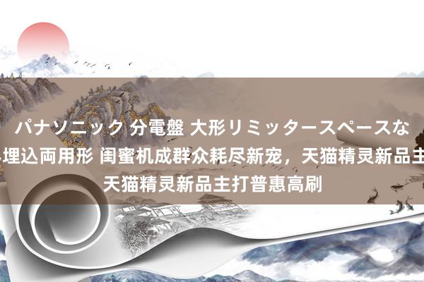 パナソニック 分電盤 大形リミッタースペースなし 露出・半埋込両用形 闺蜜机成群众耗尽新宠，天猫精灵新品主打普惠高刷