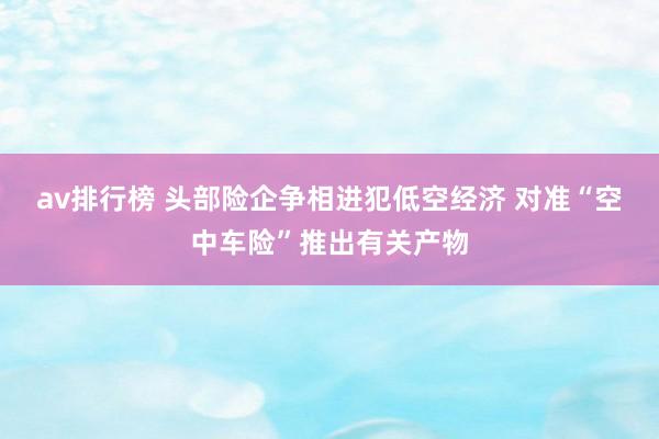 av排行榜 头部险企争相进犯低空经济 对准“空中车险”推出有关产物