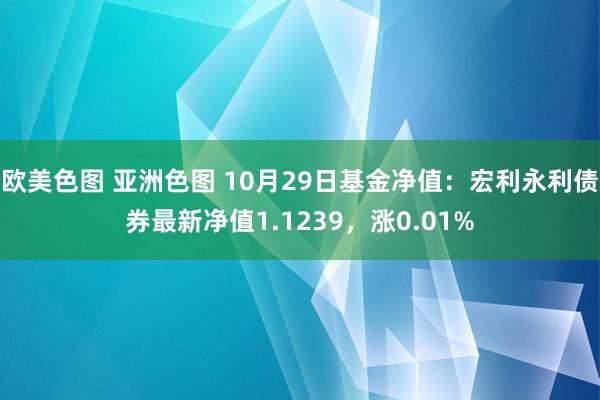 欧美色图 亚洲色图 10月29日基金净值：宏利永利债券最新净值1.1239，涨0.01%