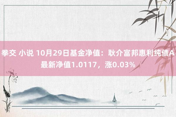 拳交 小说 10月29日基金净值：耿介富邦惠利纯债A最新净值1.0117，涨0.03%