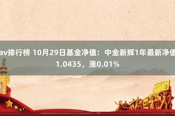 av排行榜 10月29日基金净值：中金新辉1年最新净值1.0435，涨0.01%