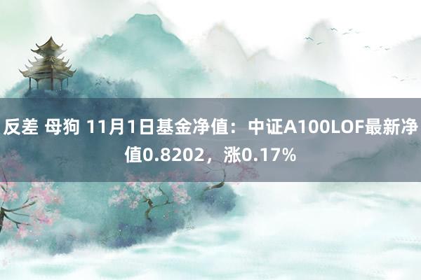 反差 母狗 11月1日基金净值：中证A100LOF最新净值0.8202，涨0.17%