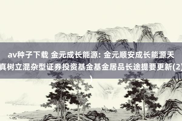 av种子下载 金元成长能源: 金元顺安成长能源天真树立混杂型证券投资基金基金居品长途提要更新(2)