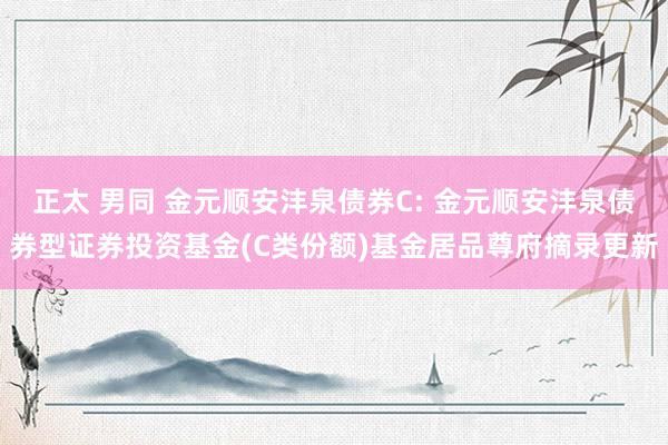 正太 男同 金元顺安沣泉债券C: 金元顺安沣泉债券型证券投资基金(C类份额)基金居品尊府摘录更新