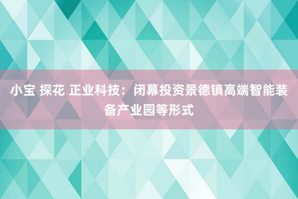 小宝 探花 正业科技：闭幕投资景德镇高端智能装备产业园等形式