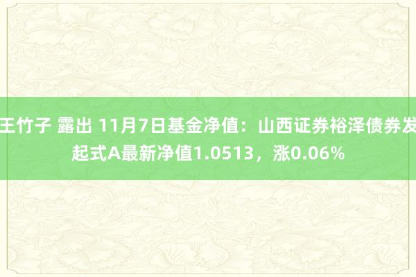 王竹子 露出 11月7日基金净值：山西证券裕泽债券发起式A最新净值1.0513，涨0.06%