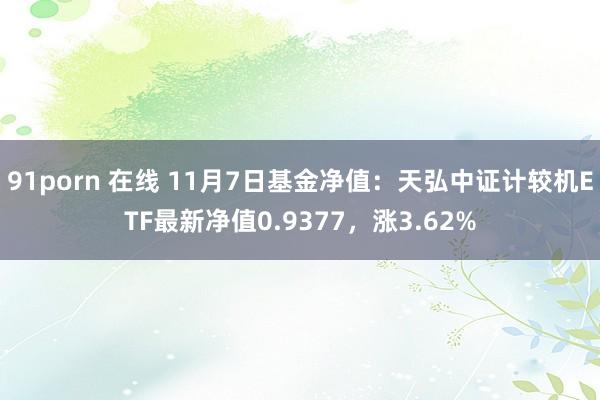 91porn 在线 11月7日基金净值：天弘中证计较机ETF最新净值0.9377，涨3.62%