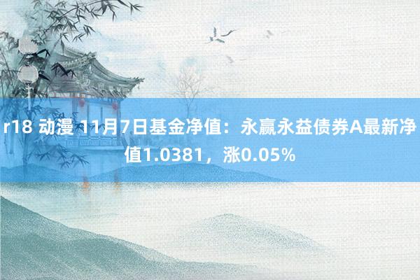 r18 动漫 11月7日基金净值：永赢永益债券A最新净值1.0381，涨0.05%