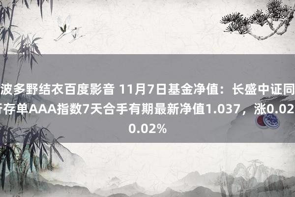 波多野结衣百度影音 11月7日基金净值：长盛中证同行存单AAA指数7天合手有期最新净值1.037，涨0.02%