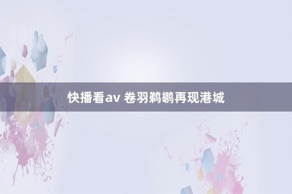 快播看av 卷羽鹈鹕再现港城