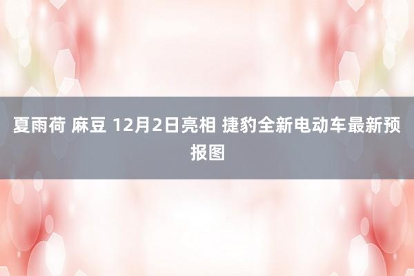 夏雨荷 麻豆 12月2日亮相 捷豹全新电动车最新预报图