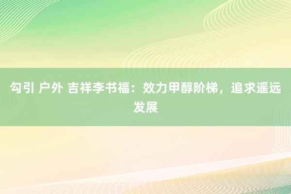 勾引 户外 吉祥李书福：效力甲醇阶梯，追求遥远发展