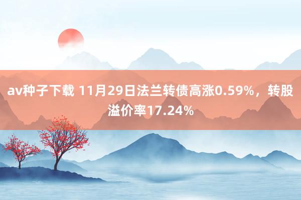 av种子下载 11月29日法兰转债高涨0.59%，转股溢价率17.24%