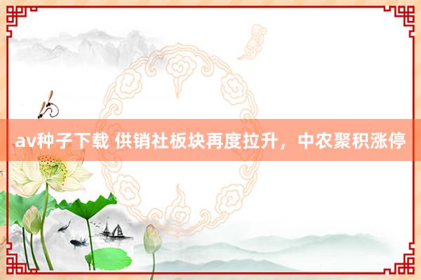 av种子下载 供销社板块再度拉升，中农聚积涨停