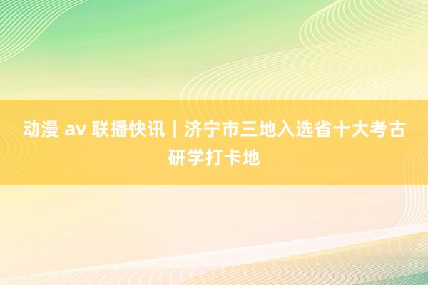 动漫 av 联播快讯｜济宁市三地入选省十大考古研学打卡地