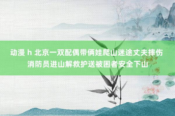 动漫 h 北京一双配偶带俩娃爬山迷途丈夫摔伤 消防员进山解救护送被困者安全下山