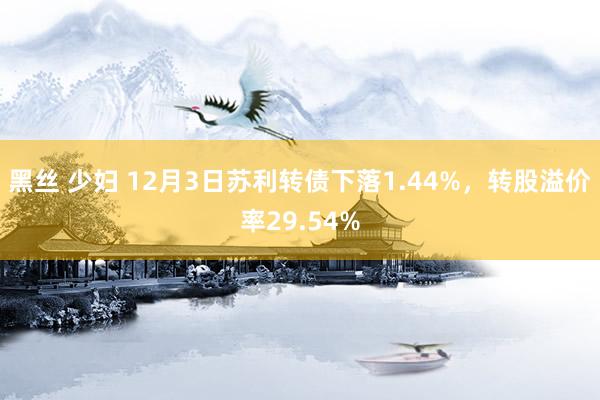 黑丝 少妇 12月3日苏利转债下落1.44%，转股溢价率29.54%